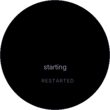 A black screen with the words starting and RESTARTED